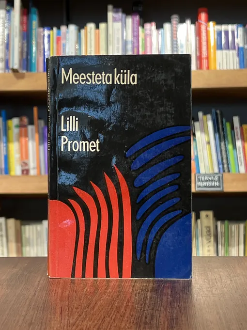Meesteta küla