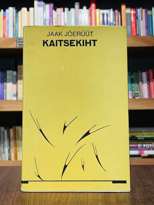 Kaitsekiht