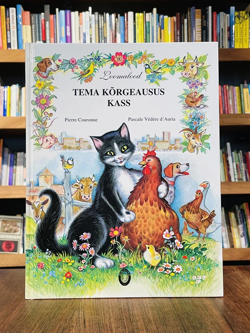 Tema kõrgeausus kass