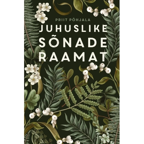 Juhuslike sõnade raamat