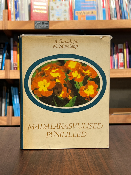 Madalakasvulised püsililled