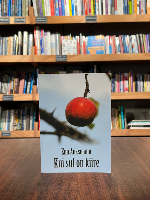 Kui sul on kiire