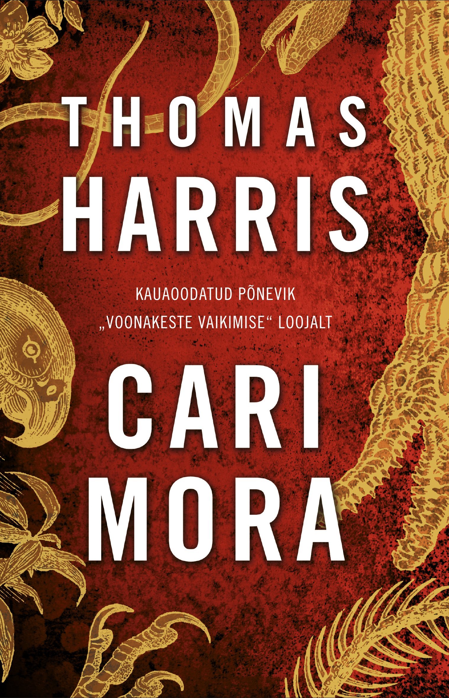 Cari Mora