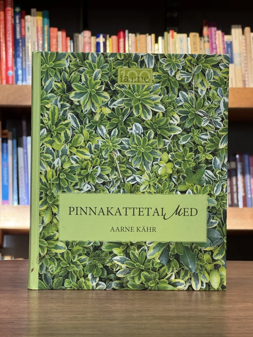 Pinnakattetaimed
