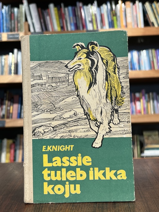 Lassie tuleb ikka koju