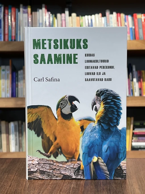 Metsikuks saamine